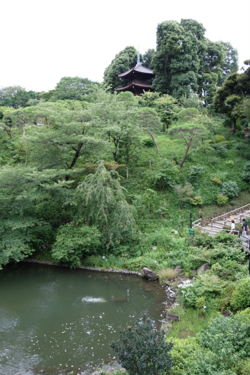 2013-09-13-11500.jpg