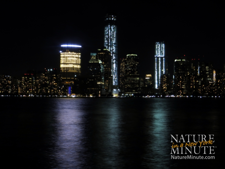 2013-09-16-NYCnight2.jpg