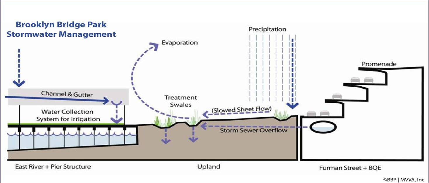 2013-09-18-BBPStormWater.jpg