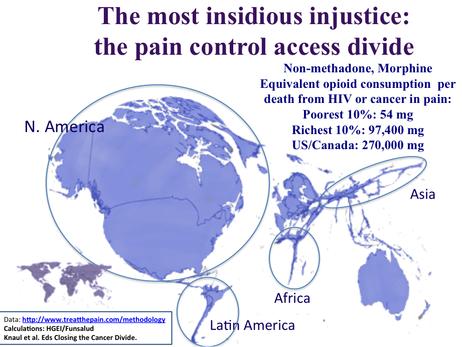 2013-09-20-pain_divide_cartogram.png