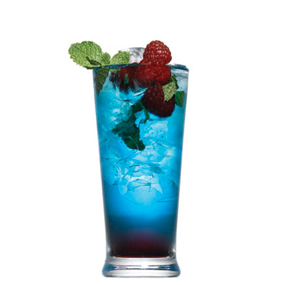 2013-09-25-BerryMojitoxl.jpg