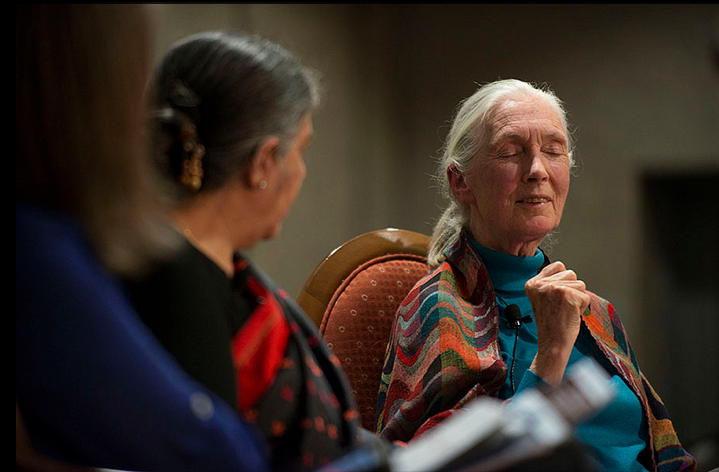 2013-09-30-JaneGoodall.jpg