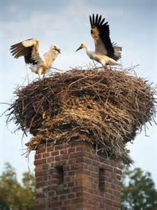 2013-10-03-th225x300.jpg