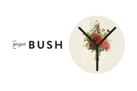 2013-10-05-ProjectBushB0.png