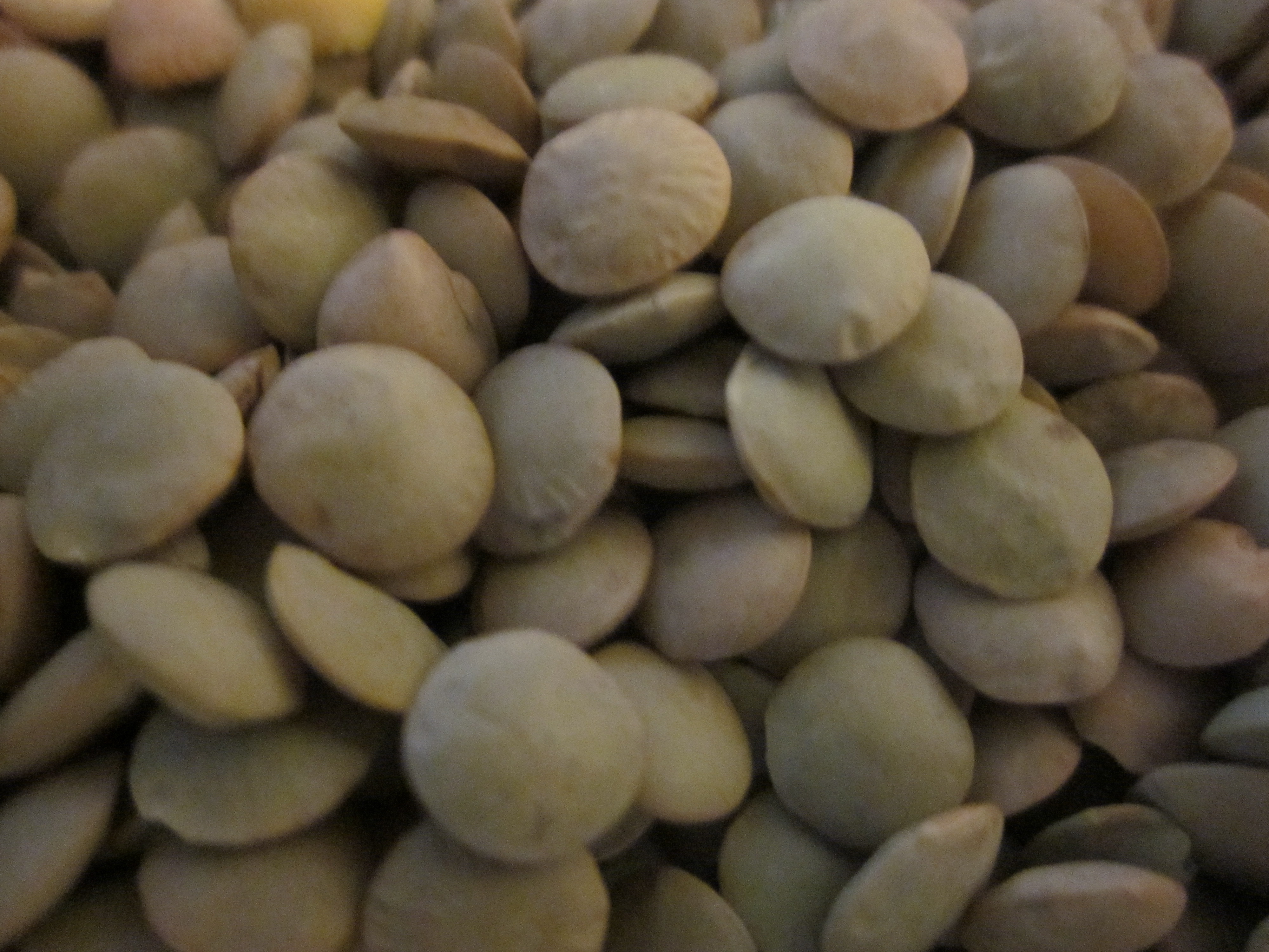 2013-10-08-lentils.jpg