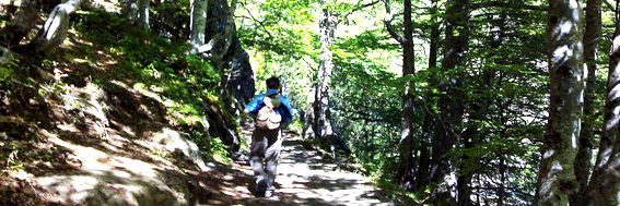 2013-10-13-caminobhuff.jpg