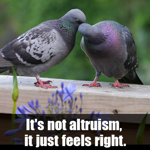 2013-10-17-altruism2meme.jpg