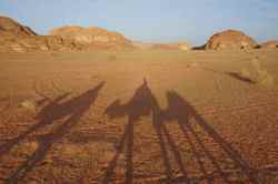 2013-10-22-Camels.jpg