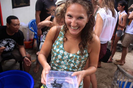 Lina ready to release a baby turtle on Kuta's beach in Bali