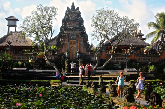 Lotus garden in Ubud