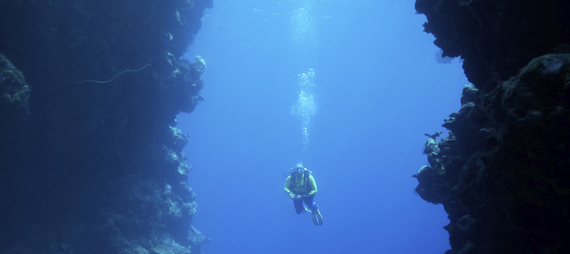 2013-10-24-diver_horiz.jpg