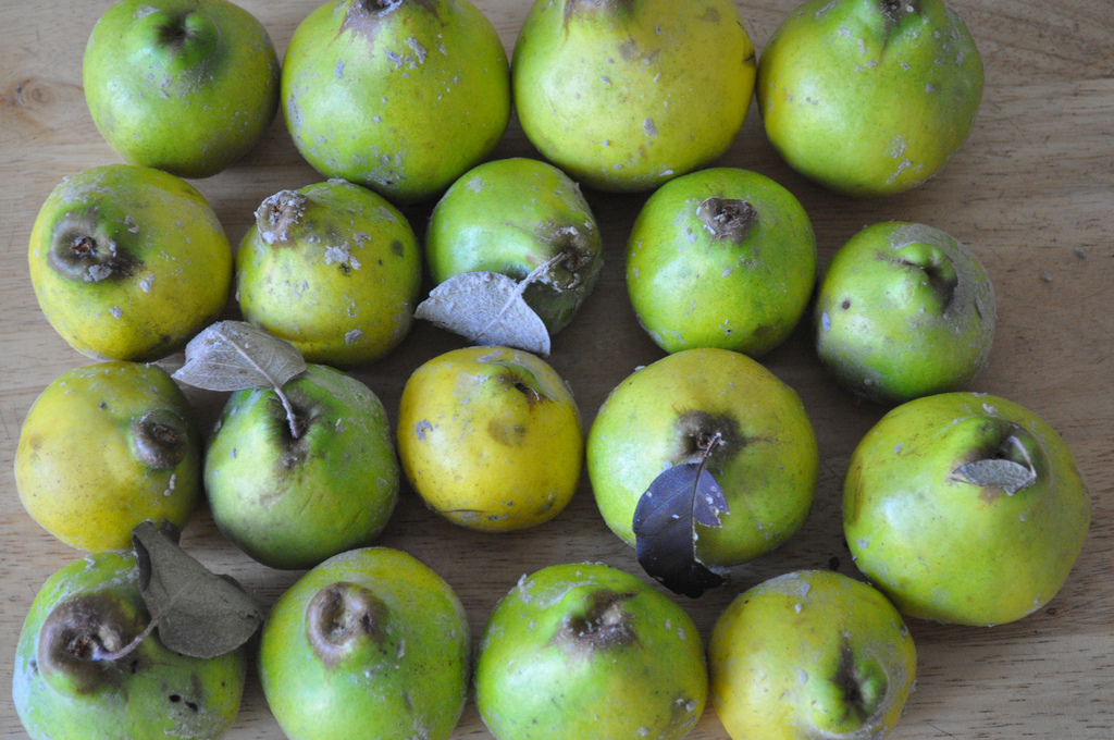 In Praise of Quince | HuffPost