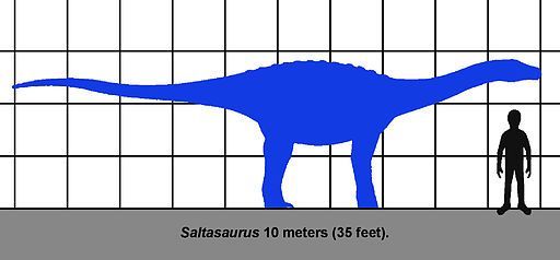 2013-10-29-Saltasaurus_SIZE_01.jpg