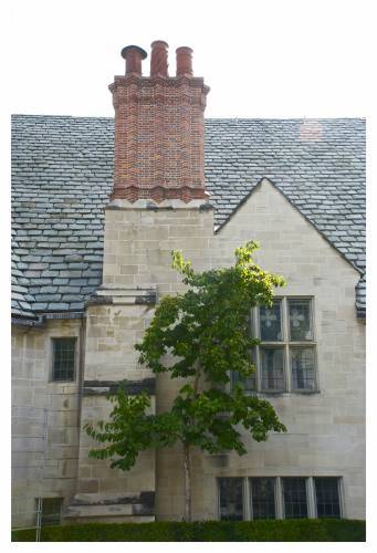 2013-10-30-graystone_mansion_chimney_huffpo.jpg