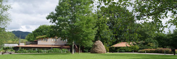 2013-11-03-caseriohuff.jpg