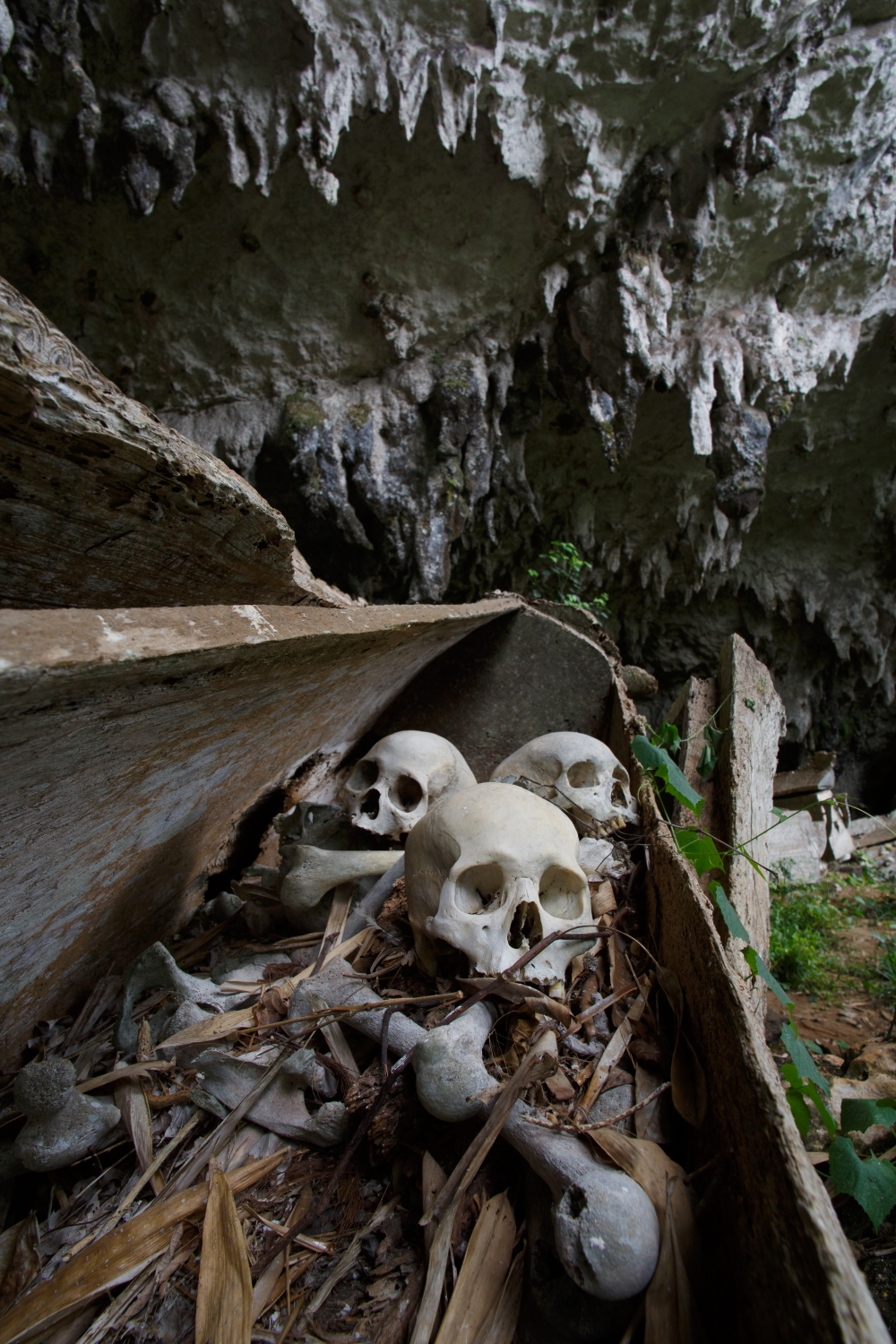 2013-11-04-SkullsincoffinoutsideburialcaveTanaTorajaSulawesiIndonesia.JPG