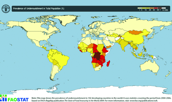 2013-11-05-e1FAO_Hunger_Map_20042006.jpg