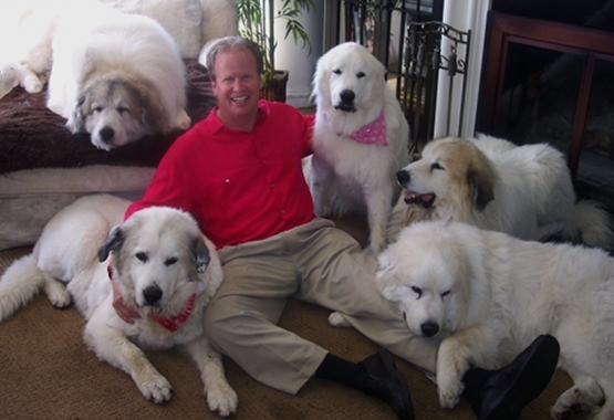 2013-11-05-steve_w_dogs.jpg