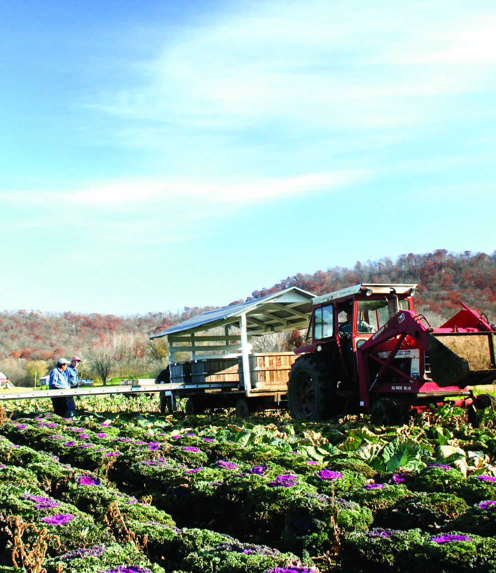 2013-11-07-Photo113shadedharvester.jpg