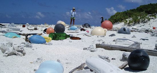 2013-11-07-marinelitter.jpg