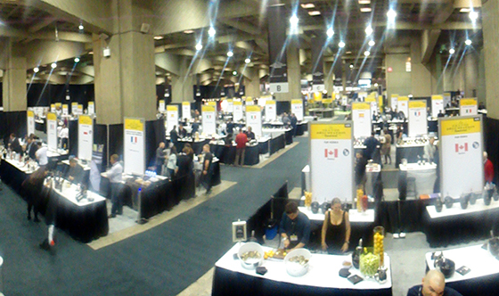 2013-11-08-SalleLGDM.jpg
