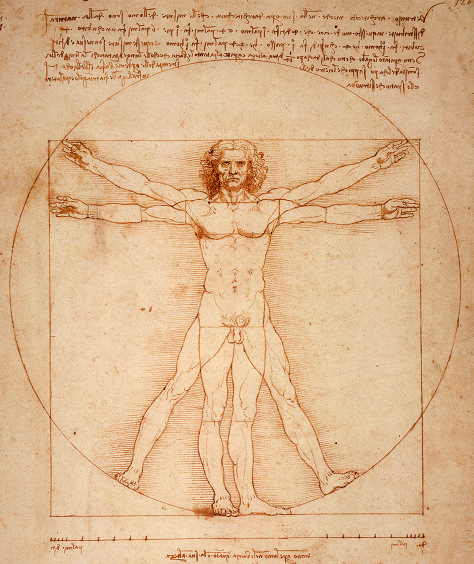 2013-11-08-Vitruvian_Man_by_Leonardo_Da_Vinci_small.png