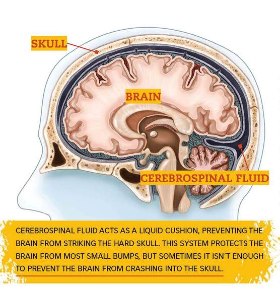 2013-11-10-brain.jpg