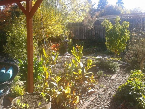 2013-11-10-garden2.jpg