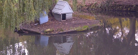 2013-11-13-Bluebirdhouseonlake.jpg