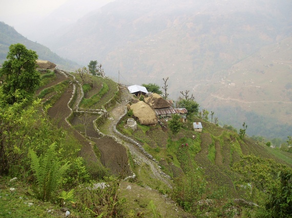 2013-11-13-Nepalifarm.jpg