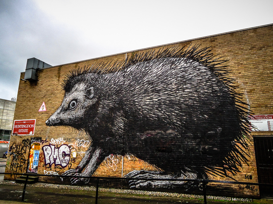 2013-11-17-StreetArtBackpackerSteve.jpg