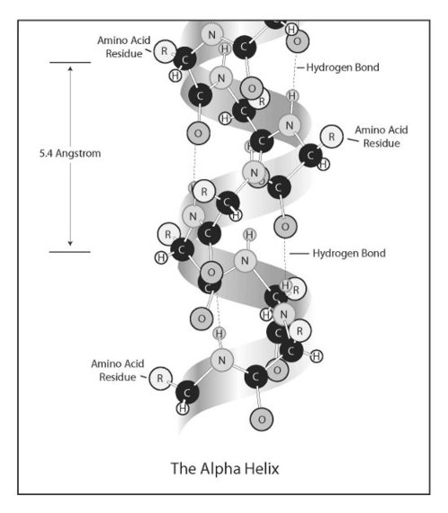 2013-11-19-fig2sm.jpg