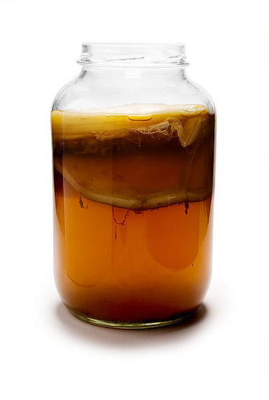 2013-11-22-scoby.jpg