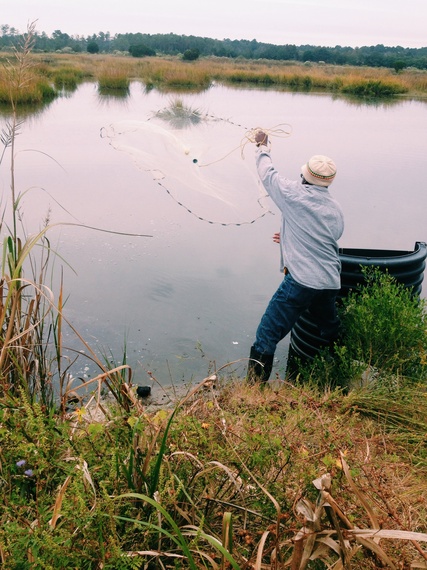 2013-11-25-ShrimpFishing.jpg