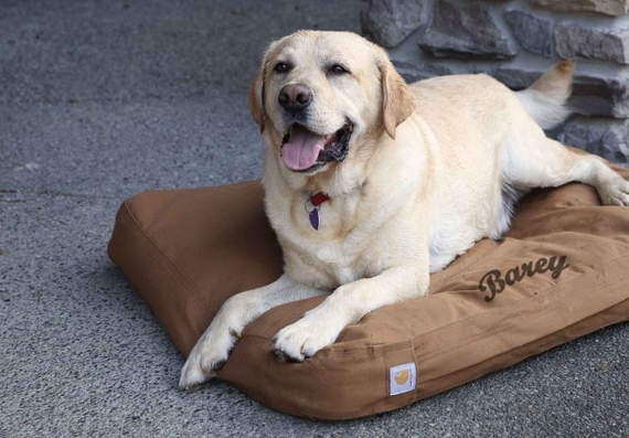 2013-11-26-embroidered_dog_bed_Barey.JPG