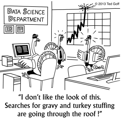 2013-11-27-TedGoffTurkeyDataScience.png