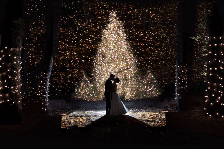 Свадьба на рождество. Свадебное в Рождество. The Christmas Wedding.