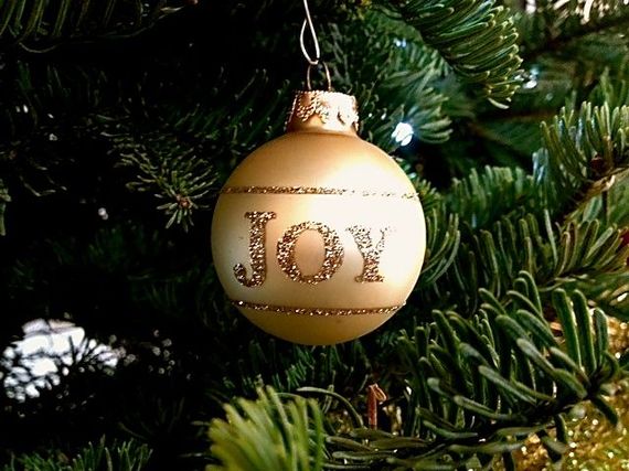 2013-12-03-Joy.jpg