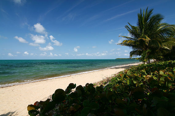 2013-12-04-800pxAlmond_Beach_Hopkins_Stann_Creek_Belize.jpeg