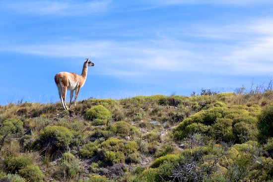 2013-12-08-TorresDelPaineSherryOtt2.jpg