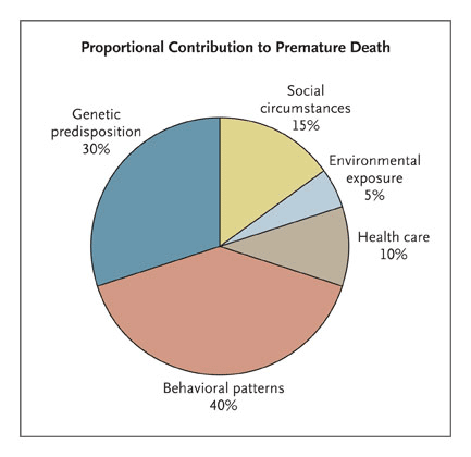 2013 12 15 DeterminantsofHealthPieChart thumb