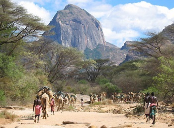 2013-12-18-WildFrontiersKenya_resize.jpg