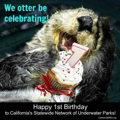 Happy Birthday California Marine Network! | HuffPost