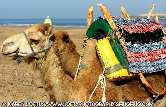 2013-12-30-LocalCamelsonthebeachatEssouira.jpg