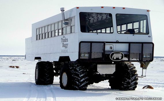 2014-01-01-KLTundraBuggy.jpg