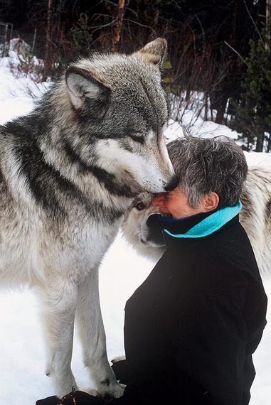 2014-01-05-Sandy__Wolves01.jpg