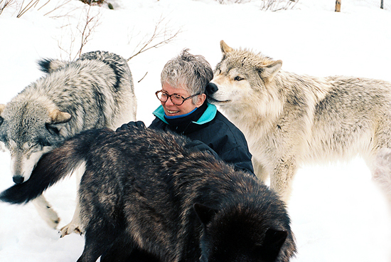 2014-01-05-Sandy_sitting_with_Wolves.jpg