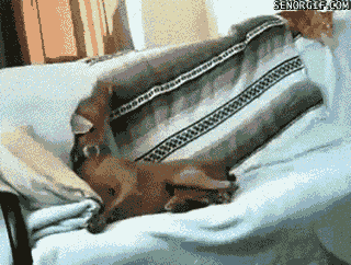 2014-01-07-download.gif