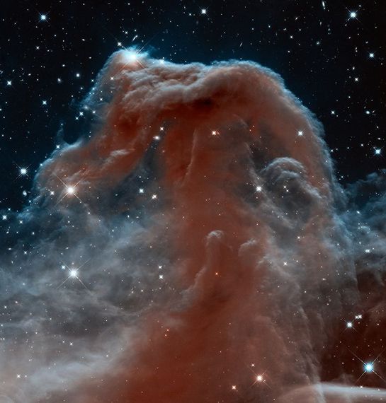 2014-01-07-horsehead.jpg