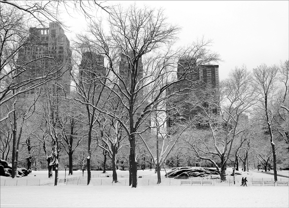 2014-01-09-Nickcentralpark_snowwinter.jpg